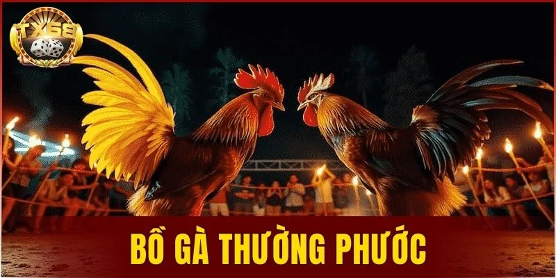 bồ gà Thường Phước