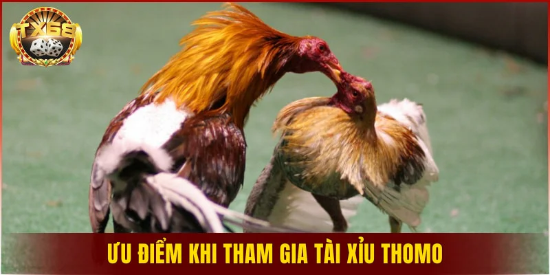 Ưu điểm khi tham gia tài xỉu Thomo
