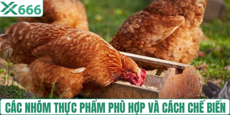 Các nhóm thực phẩm phù hợp và cách chế biến