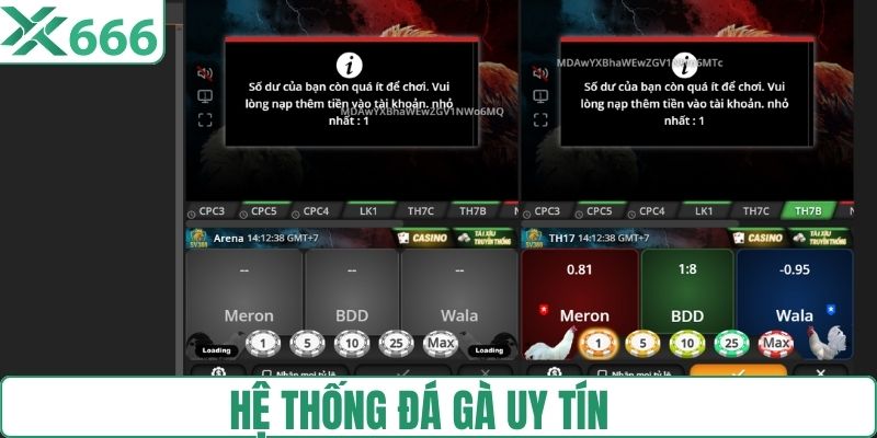 Hệ thống đá gà siêu uy tín