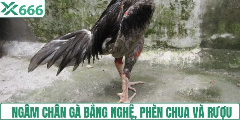 Ngâm chân gà bằng nghệ, phèn chua và rượu